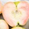 Apple 'Pink Pearl'