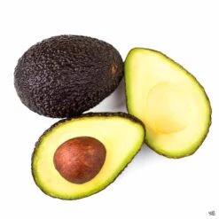 Avocado 'Hass'