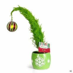 Whooville Lemon Cypress In Snowdrift Ceramic