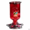 More Birds® Blossom Hummingbird Feeder