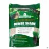 Jonathan Green® Black Beauty® Dense Shade Mix