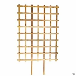Cedar Deluxe Espalier Trellis -Plant Sales Shop Trellises CedarDeluxeEspalier 48inX66in