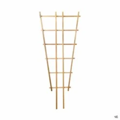 Cedar Fan Trellis 3 Cedar Fan Trellis -Plant Sales Shop Trellises CedarFanTrellis 24x66 d032f919 b435 44ed a8ea 7486084409f4